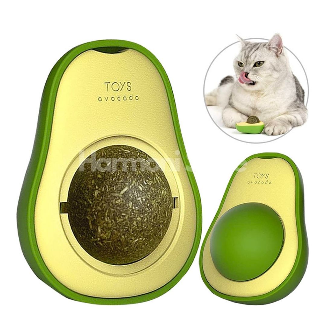 Harmoni ® Kedi Nanesi