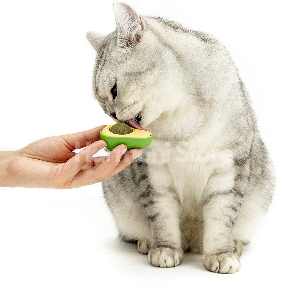 Harmoni ® Kedi Nanesi