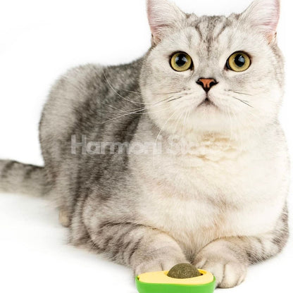 Harmoni ® Kedi Nanesi