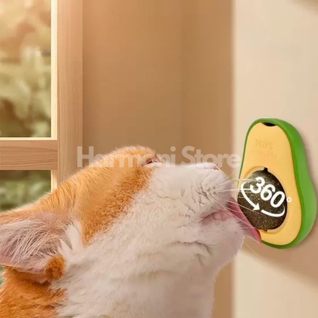 Harmoni ® Kedi Nanesi